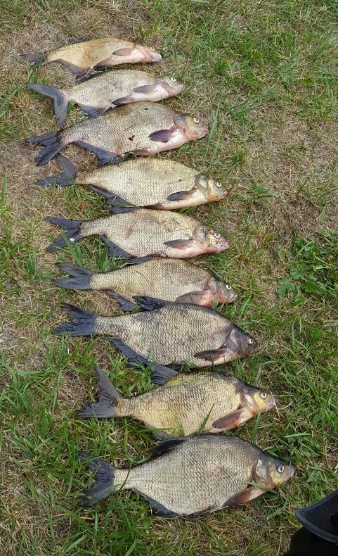 IMG-20160612-WA0016